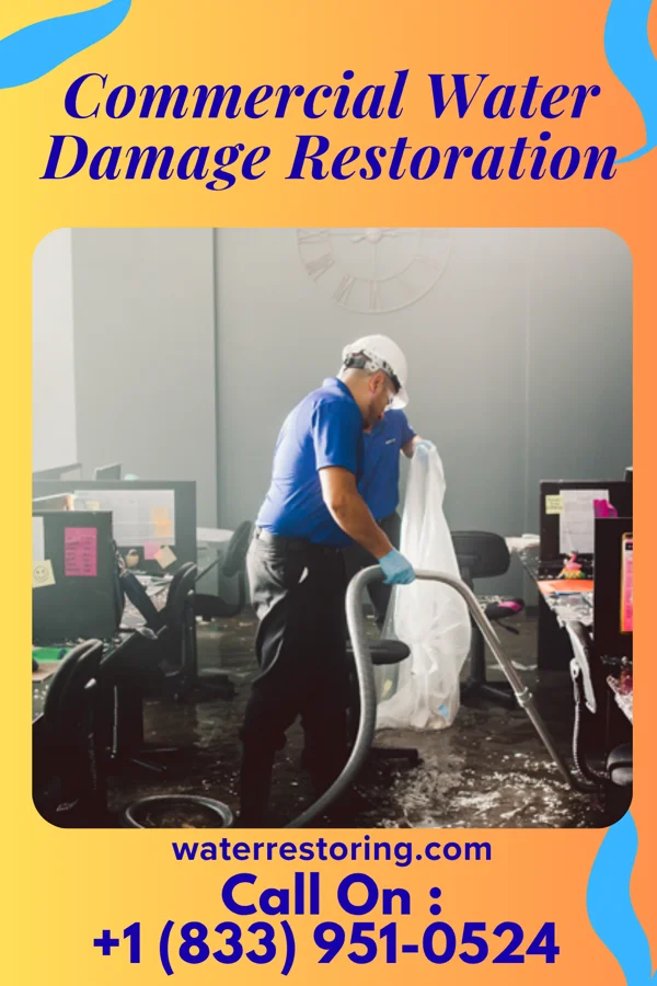 Commercial Water Damage Restoration in Lake Arbor, MD