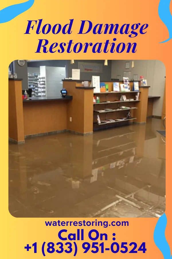 Flood Damage Restoration in Lake Arbor, MD
