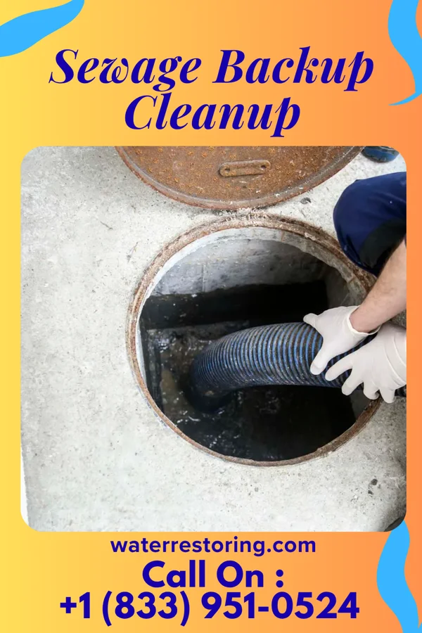 Sewage Backup Cleanup in Lake Arbor, MD